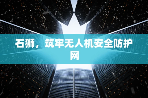石狮，筑牢无人机安全防护网