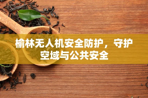 榆林无人机安全防护，守护空域与公共安全