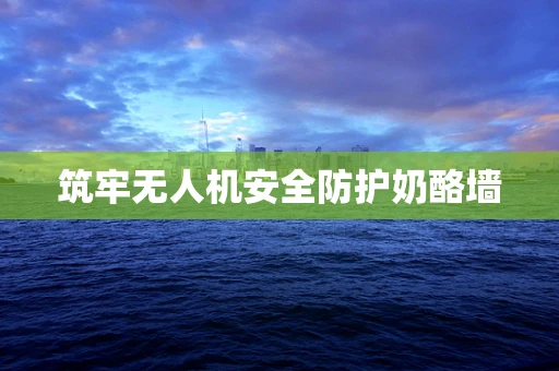 筑牢无人机安全防护奶酪墙