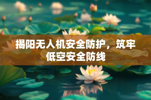 揭阳无人机安全防护，筑牢低空安全防线