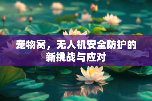 宠物窝，无人机安全防护的新挑战与应对