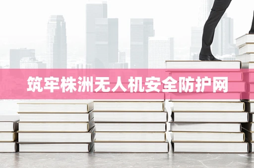 筑牢株洲无人机安全防护网