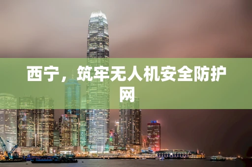 西宁，筑牢无人机安全防护网