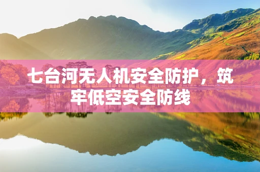 七台河无人机安全防护，筑牢低空安全防线