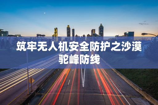 筑牢无人机安全防护之沙漠驼峰防线