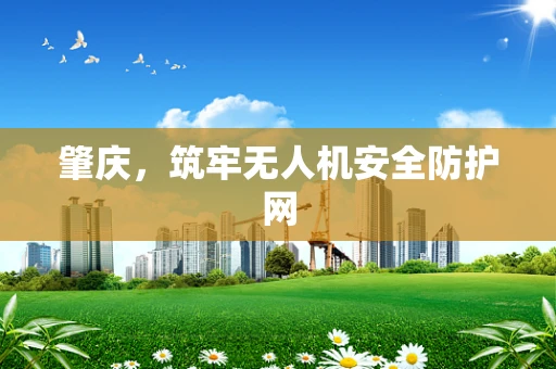 肇庆，筑牢无人机安全防护网
