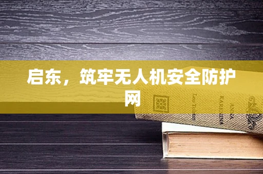 启东，筑牢无人机安全防护网