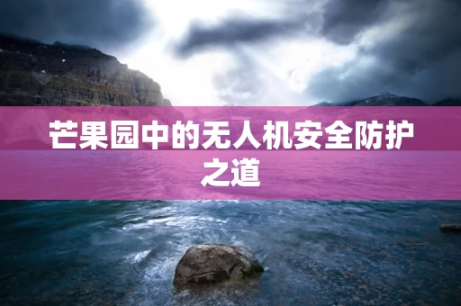 芒果园中的无人机安全防护之道