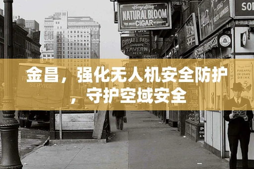 金昌，强化无人机安全防护，守护空域安全