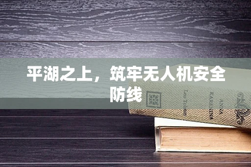 平湖之上，筑牢无人机安全防线