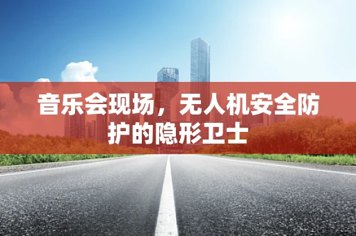 音乐会现场，无人机安全防护的隐形卫士