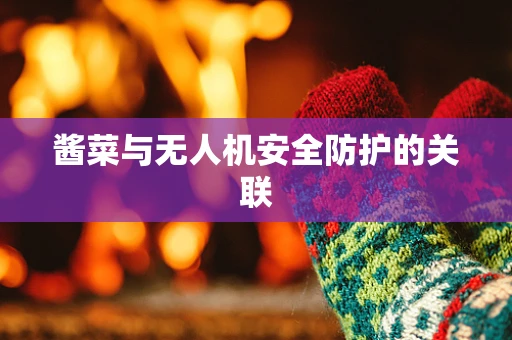 酱菜与无人机安全防护的关联