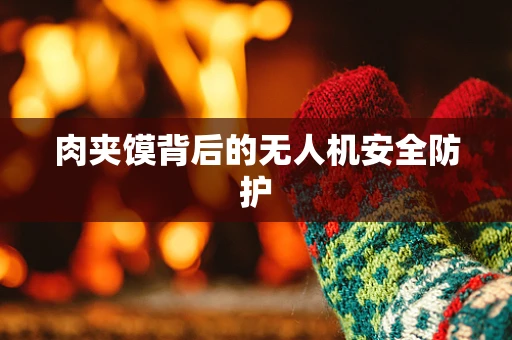 肉夹馍背后的无人机安全防护