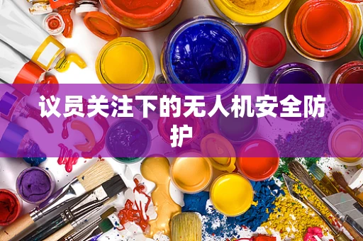 议员关注下的无人机安全防护