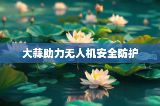 大蒜助力无人机安全防护