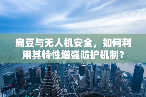 扁豆与无人机安全，如何利用其特性增强防护机制？