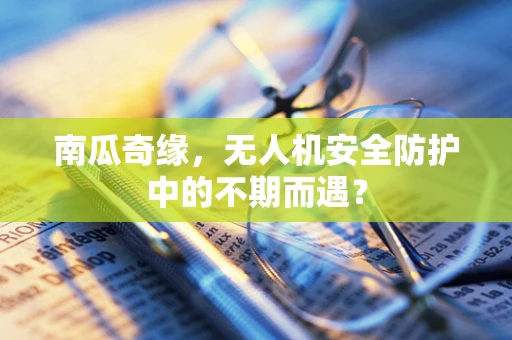 南瓜奇缘，无人机安全防护中的不期而遇？