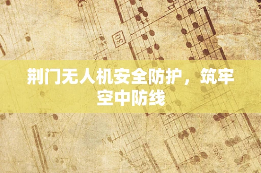 荆门无人机安全防护，筑牢空中防线