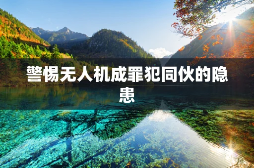 警惕无人机成罪犯同伙的隐患