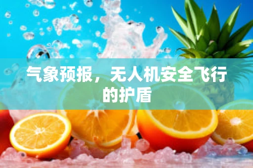 气象预报，无人机安全飞行的护盾
