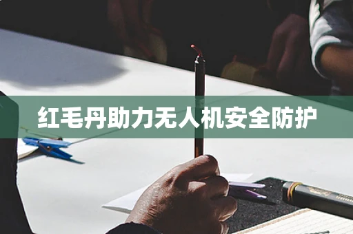 红毛丹助力无人机安全防护