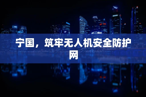 宁国，筑牢无人机安全防护网