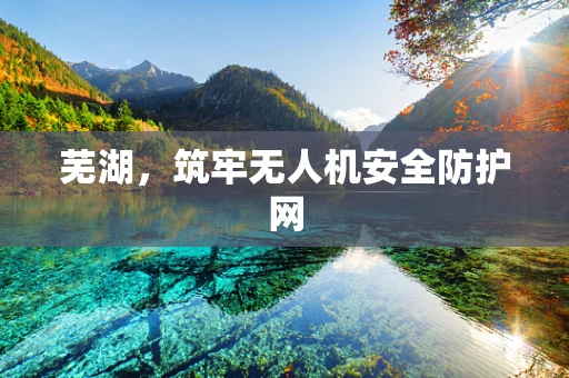 芜湖，筑牢无人机安全防护网