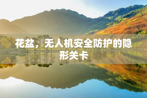 花盆，无人机安全防护的隐形关卡