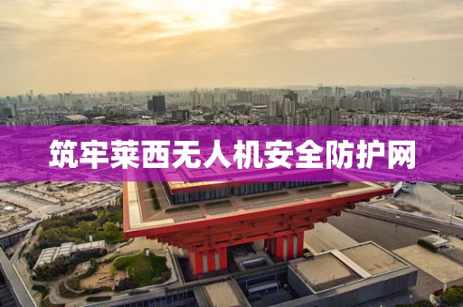 筑牢莱西无人机安全防护网