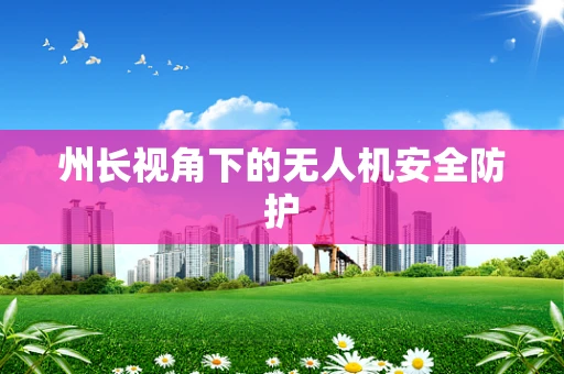 州长视角下的无人机安全防护