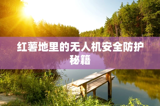 红薯地里的无人机安全防护秘籍