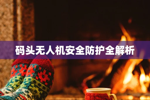 码头无人机安全防护全解析