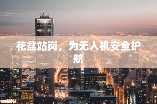 花盆站岗，为无人机安全护航