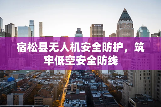 宿松县无人机安全防护，筑牢低空安全防线