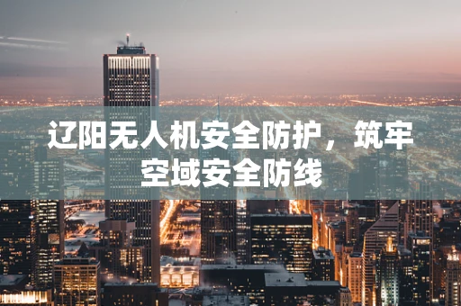 辽阳无人机安全防护，筑牢空域安全防线