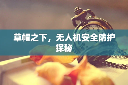草帽之下，无人机安全防护探秘