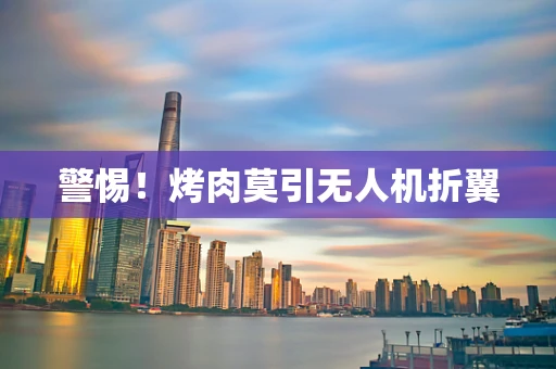 警惕！烤肉莫引无人机折翼