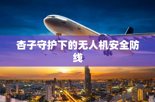 杏子守护下的无人机安全防线