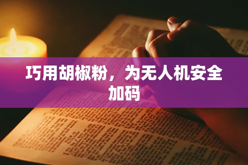 巧用胡椒粉，为无人机安全加码