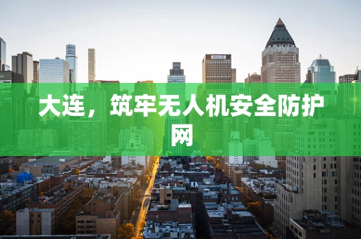 大连，筑牢无人机安全防护网
