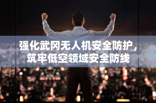 强化武冈无人机安全防护，筑牢低空领域安全防线