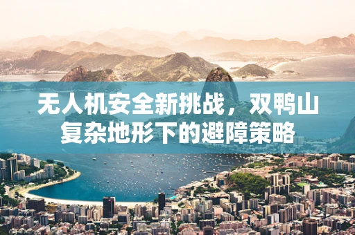 无人机安全新挑战，双鸭山复杂地形下的避障策略