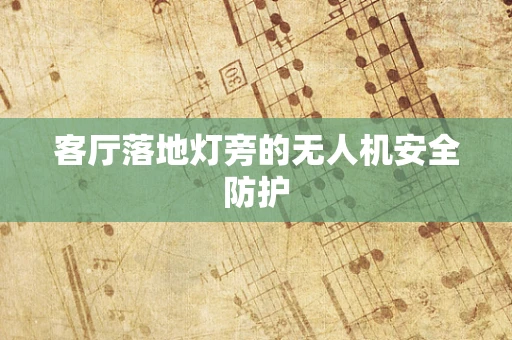 客厅落地灯旁的无人机安全防护