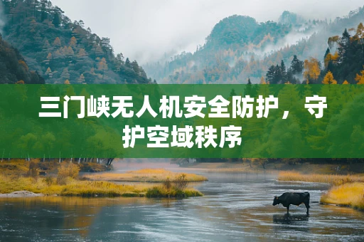 三门峡无人机安全防护，守护空域秩序