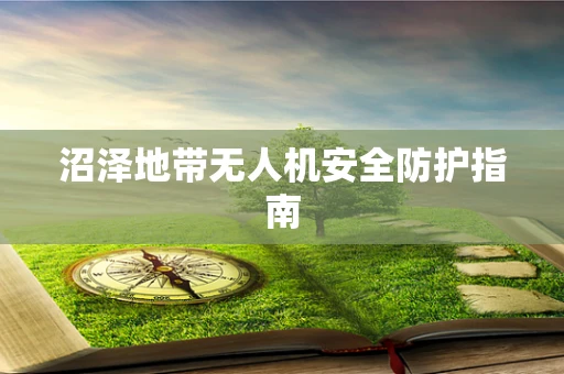 沼泽地带无人机安全防护指南
