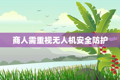 商人需重视无人机安全防护