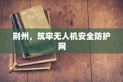 荆州，筑牢无人机安全防护网