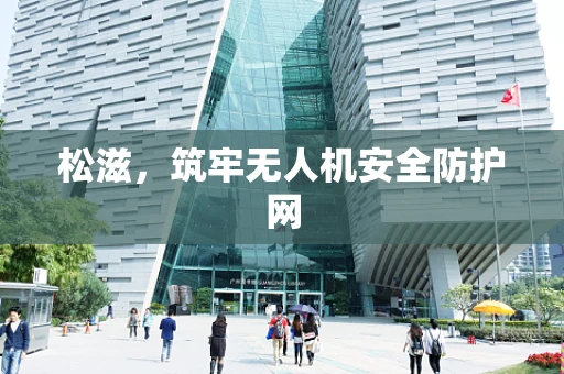 松滋，筑牢无人机安全防护网