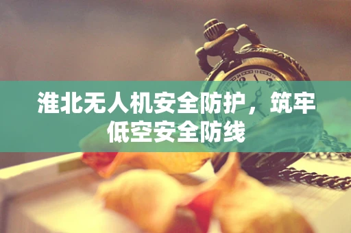 淮北无人机安全防护，筑牢低空安全防线