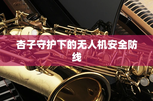 杏子守护下的无人机安全防线